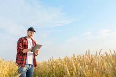 Güneşli günde tarlada çiftçi