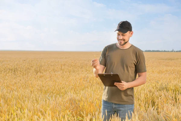 Farmer in field on sunny day — Stock Photo, Image