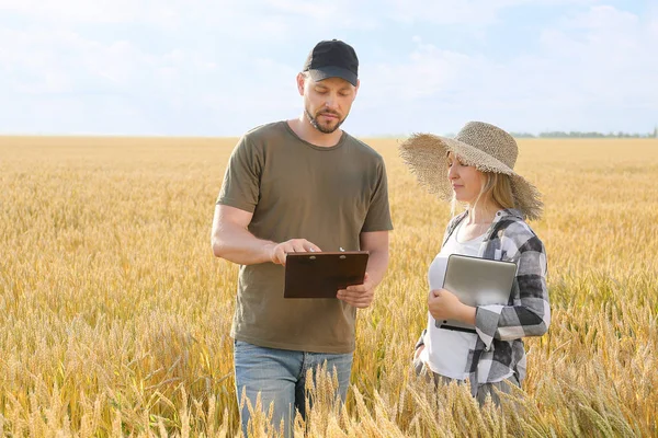 Farmers in field on sunny day — Stock Photo, Image