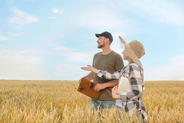 Agricultores en el campo en un día soleado — Foto de Stock