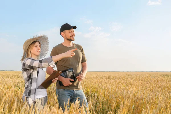 Farmers in field on sunny day — Stock Photo, Image