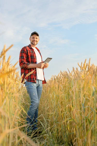 Farmer in field on sunny day — Stock Photo, Image