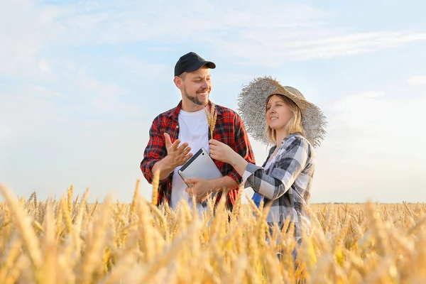 Farmers in field on sunny day — Stock Photo, Image