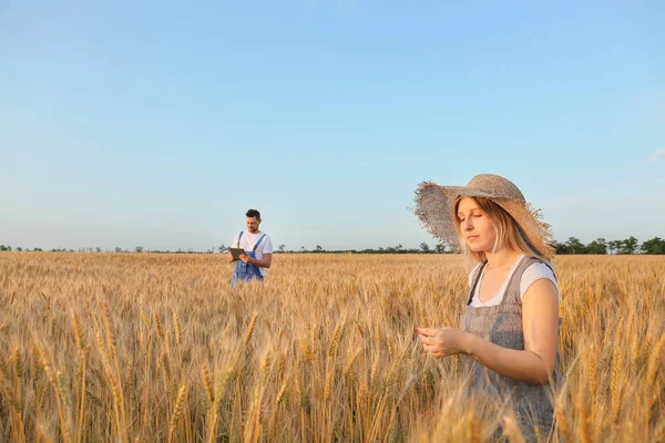 Agricoltori in campo nella giornata di sole — Foto Stock