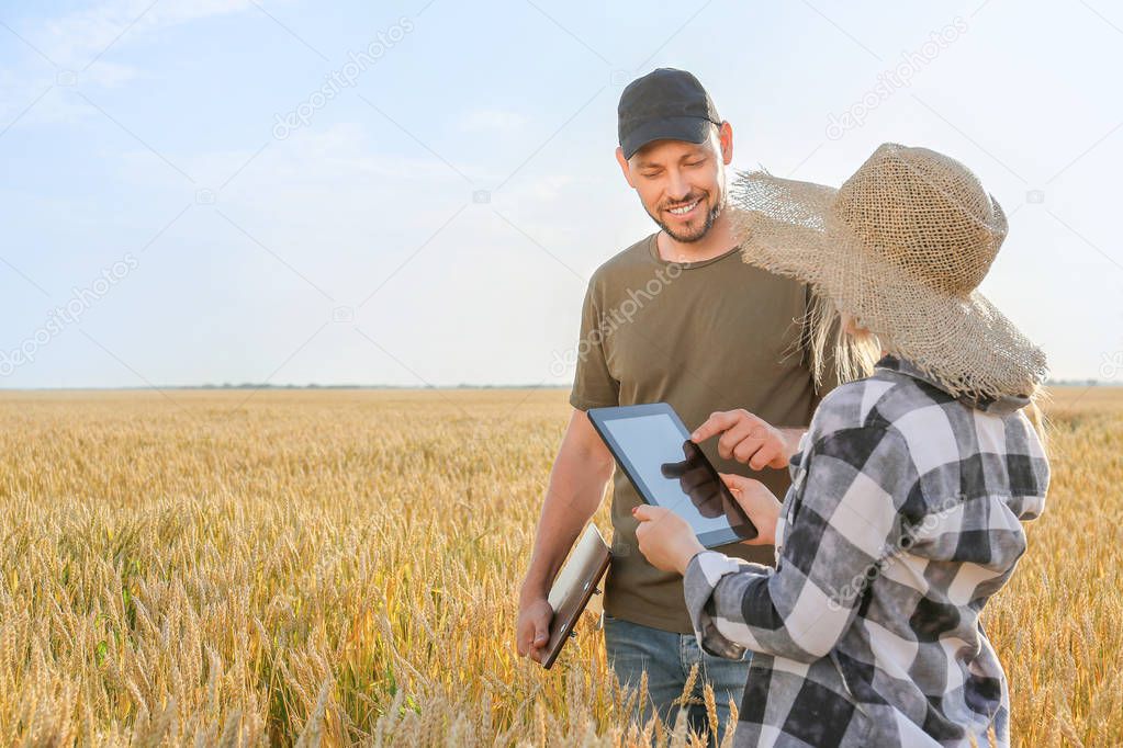 Farmers in field on sunny day