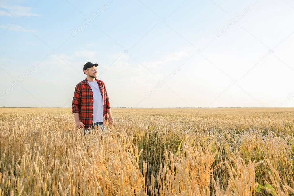 Farmer in field on sunny day