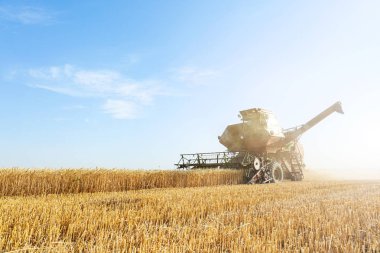 Buğday tarlasında hasatçıyı birleştir
