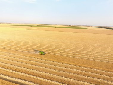 Buğday tarlasında hasatçıyı birleştir