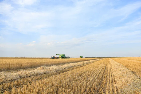 Combine harvesters in wheat field — Stock Photo, Image
