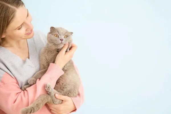 Gyönyörű nő aranyos macska a színes háttér — Stock Fotó