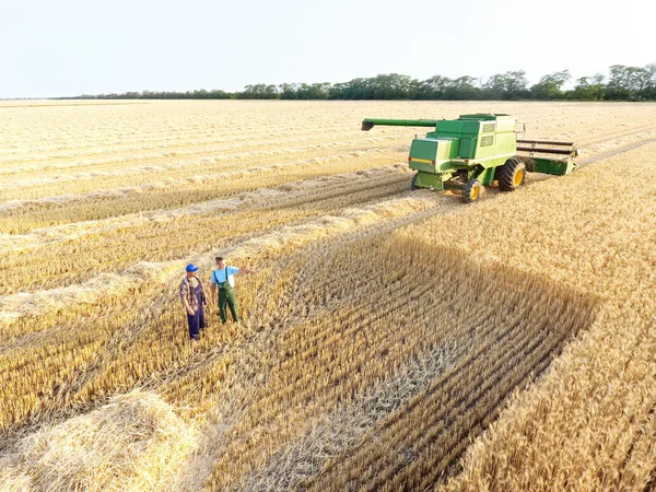 Harvesting of wheat on summer day — Stock Photo, Image