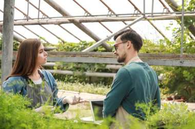 Serada çalışan genç tarım mühendisleri