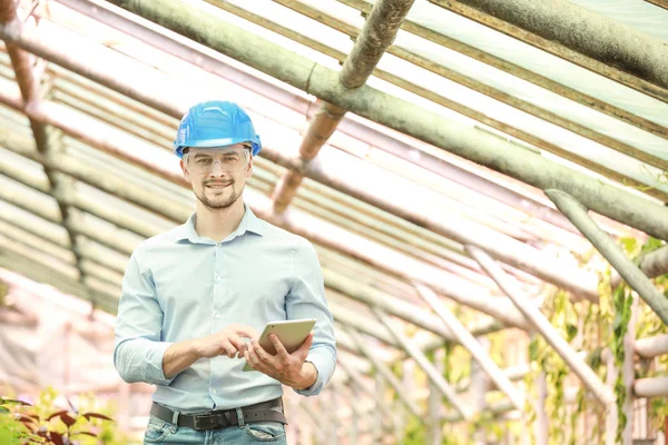 Portrait of male agricultural engineer in greenhouse — Stock Photo, Image