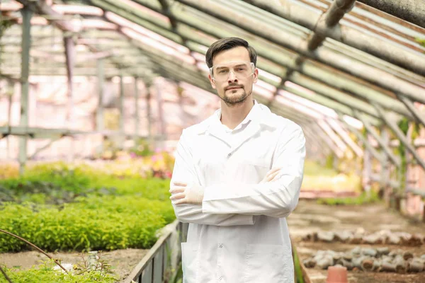 Portrait of male agricultural engineer in greenhouse — Stock Photo, Image