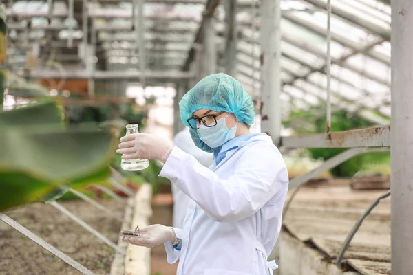 Engenheira agrícola trabalhando em estufa — Fotografia de Stock