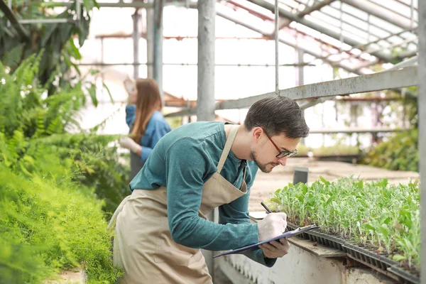 Male agricultural engineer working in greenhouse — Stock Photo, Image