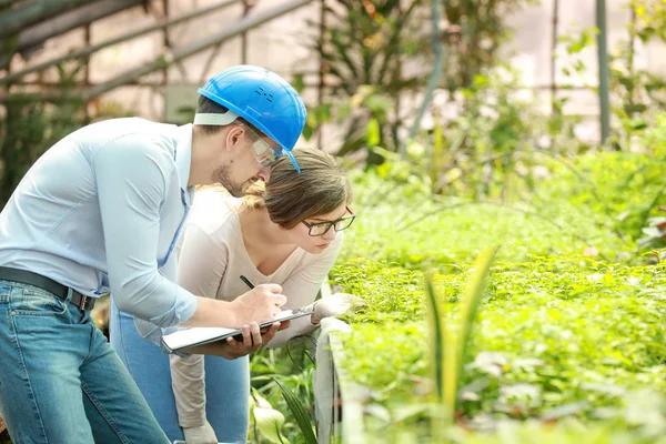 Young agricultural engineers working in greenhouse — Stock Photo, Image