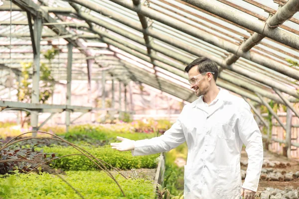 Male agricultural engineer working in greenhouse — Stock Photo, Image