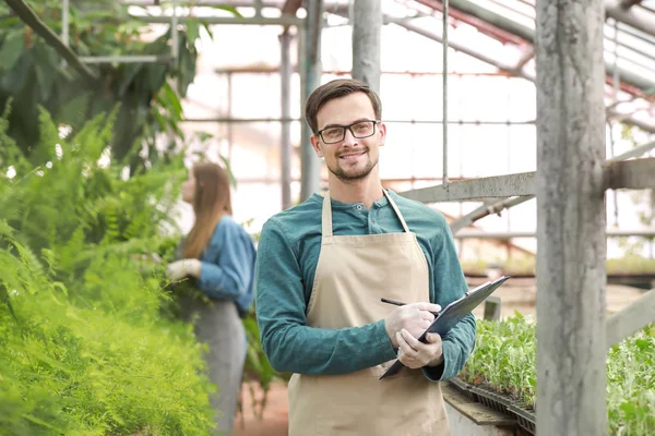 Portrait of male agricultural engineer in greenhouse — Stock Photo, Image