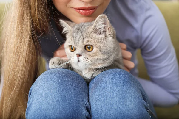 Красива молода жінка з милим котом вдома, крупним планом — стокове фото