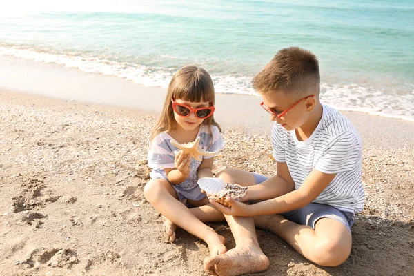 Bambini che giocano con conchiglie sulla spiaggia di mare — Foto Stock