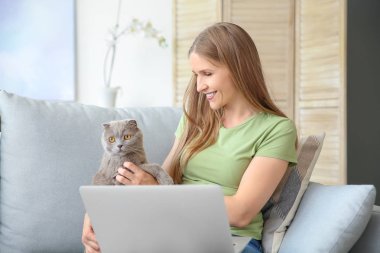 Sevimli kedi ve dizüstü bilgisayar evde kanepede oturan güzel kadın