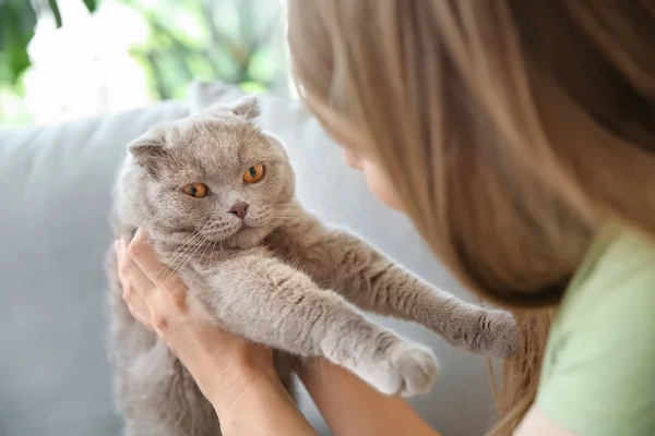 Hermosa mujer con lindo gato en casa — Foto de Stock