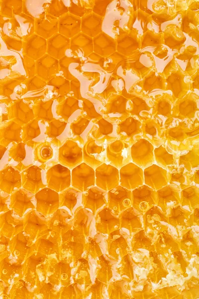 Konsistens av honungskakor som bakgrund — Stockfoto
