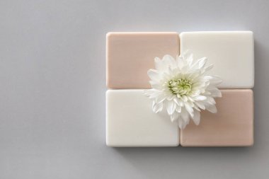 Gri arka plan üzerinde çiçek ile farklı sabun