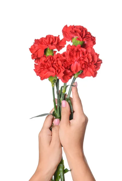 Female hands with beautiful carnation flowers on white background — Stock Photo, Image