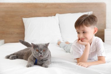 Yatak odasında sevimli kedi ile küçük çocuk