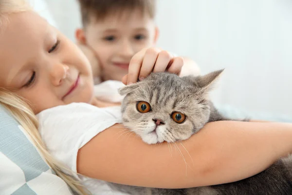 Bambini piccoli con simpatico gatto in camera da letto — Foto Stock