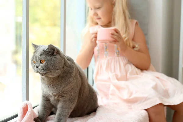 Bambina con gatto carino vicino alla finestra — Foto Stock