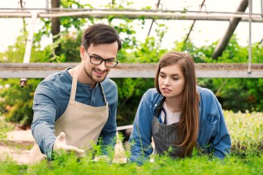 Serada çalışan genç tarım mühendisleri
