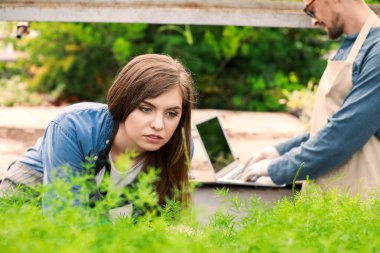 Serada çalışan kadın ziraat mühendisi