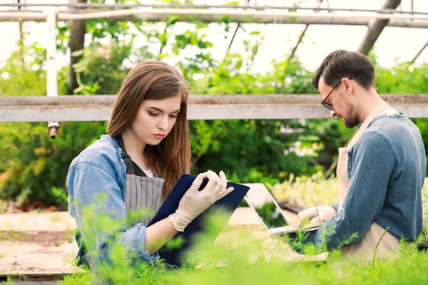 Young agricultural engineers working in greenhouse — Stock Photo, Image