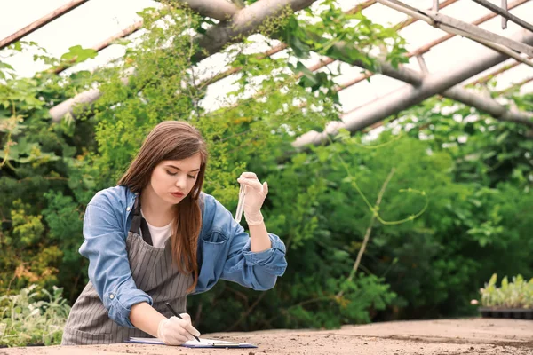 Female agricultural engineer working in greenhouse — Stock Photo, Image