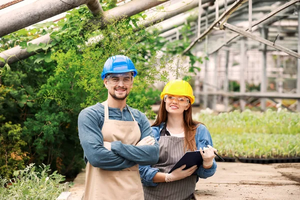 Portrait of agricultural engineers in greenhouse — Stock Photo, Image