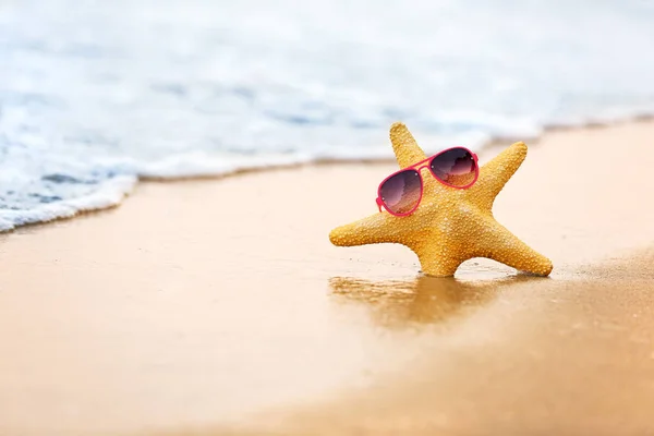 Starfish with sunglasses on sea coast. Christmas vacation — Stock Photo, Image