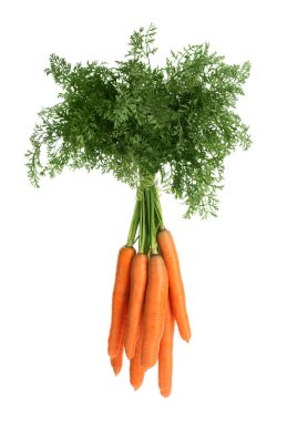 Beyaz arka planda taze havuç