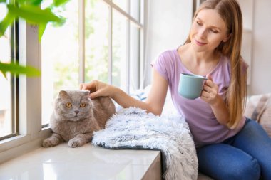 Evde pencere yakınında sevimli kedi ile güzel kadın