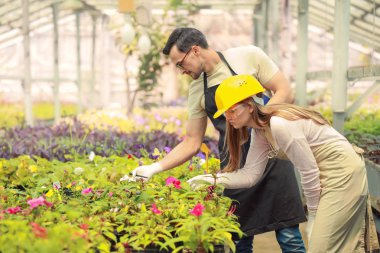 Serada çalışan genç tarım mühendisleri