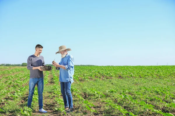 Agricultores masculinos com colheita no campo — Fotografia de Stock