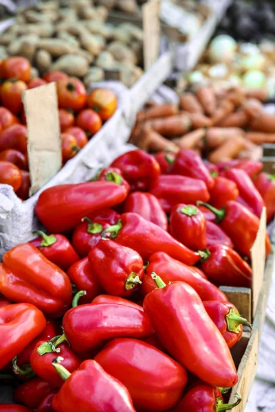 Čerstvé papriky na trhu — Stock fotografie