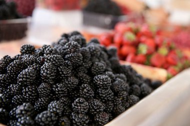 Taze böğürtlen tezgahta pazarda