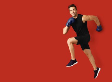 Renkli arka planda erkek boksör çalıştırma