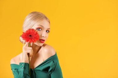 Renkli arka planda gerbera çiçek ile güzel genç kadın