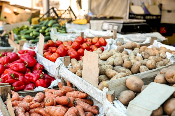 Választék a friss zöldség ellen a piacon — Stock Fotó
