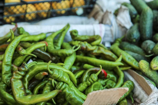 A számláló a piacon friss chili paprika — Stock Fotó