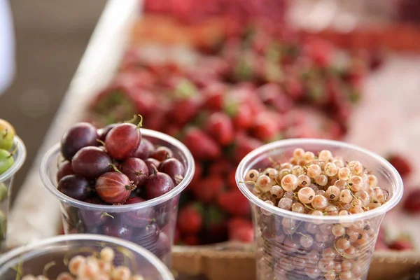 Választék friss bogyók a pult piacon — Stock Fotó